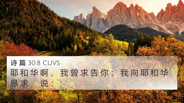诗 篇 30:8 CUVS Bible Verse Image