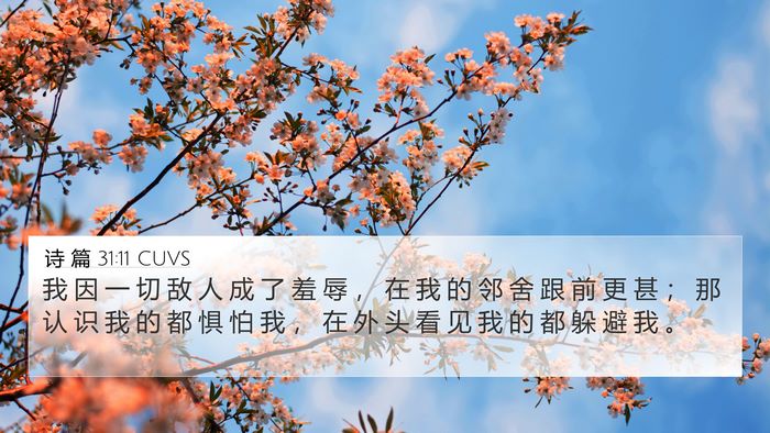 诗 篇 31:11 CUVS Bible Verse Image