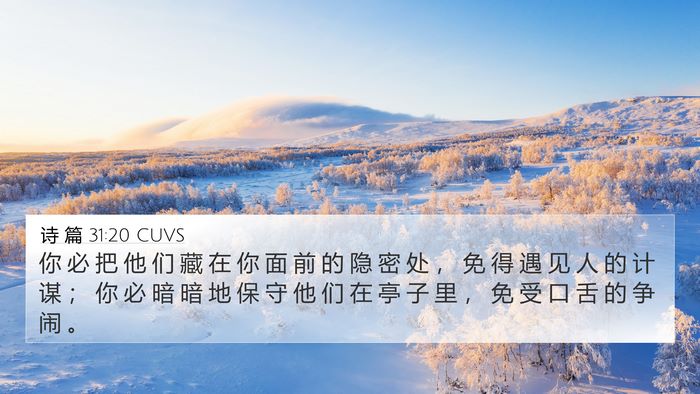 诗 篇 31:20 CUVS Bible Verse Image