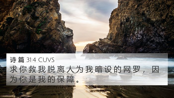 诗 篇 31:4 CUVS 4K Wallpaper - 求 你 救 我 脱 离 人 为 我 暗 设 的 - 4K Wallpaper Bible Verse