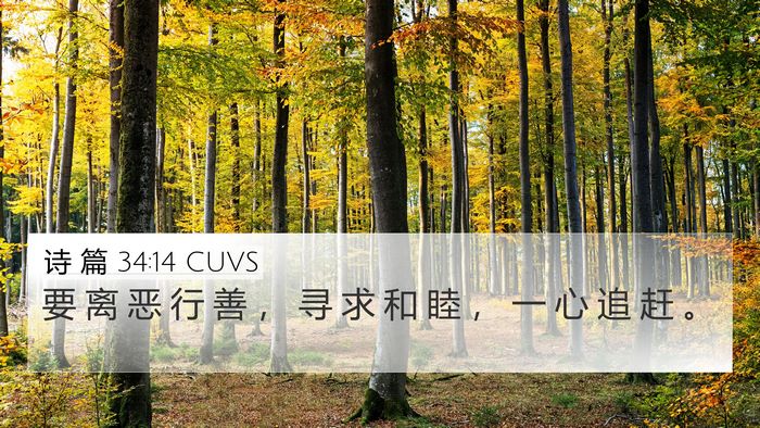 诗 篇 34:14 CUVS Bible Verse Image