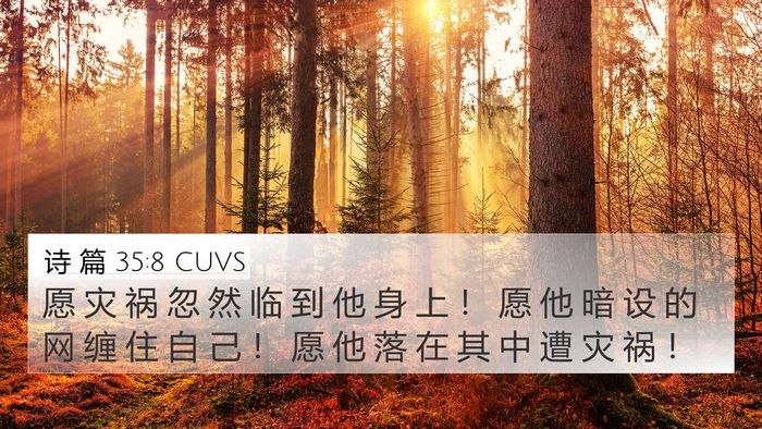 诗 篇 35:8 CUVS Bible Verse Image