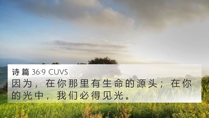 诗 篇 36:9 CUVS Bible Verse Image