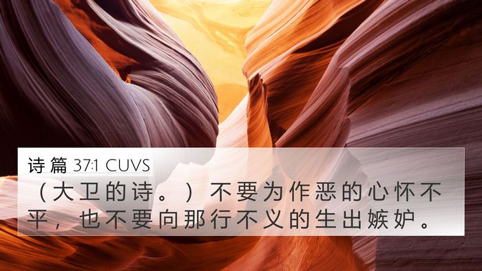 诗 篇 37:1 CUVS Bible Verse Image