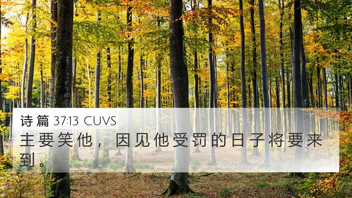 诗 篇 37:13 CUVS Bible Verse Image