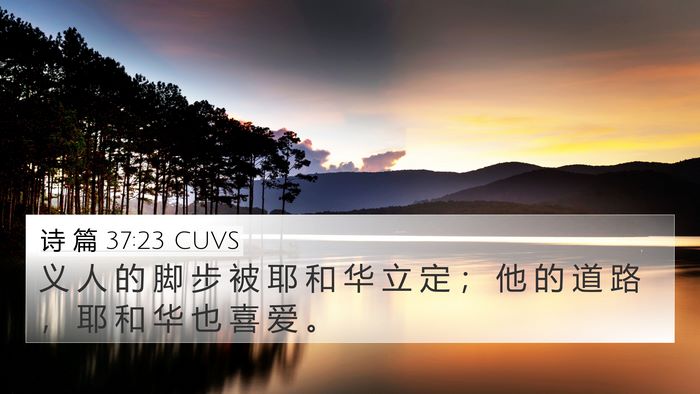 诗 篇 37:23 CUVS Bible Verse Image