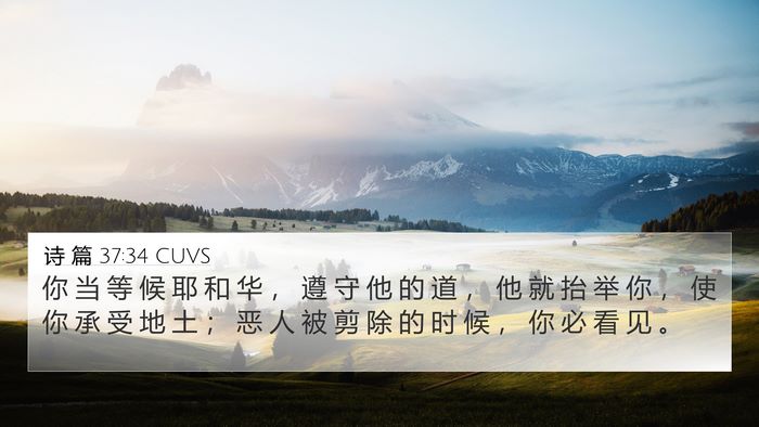 诗 篇 37:34 CUVS Bible Verse Image