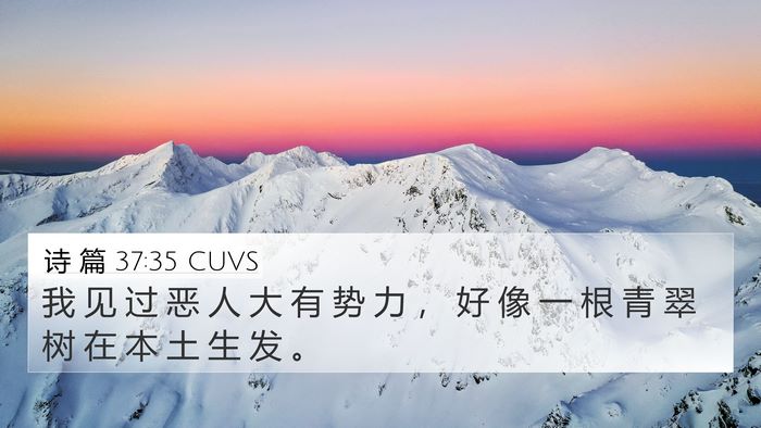 诗 篇 37:35 CUVS Bible Verse Image