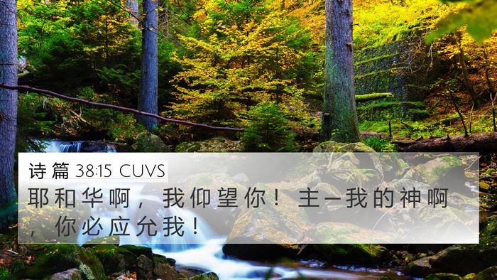 诗 篇 38:15 CUVS 4K Wallpaper - 耶 和 华 啊 ， 我 仰 望 你 ！ 主 ─ - 4K Wallpaper Bible Verse