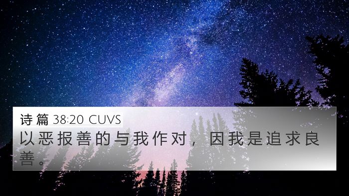 诗 篇 38:20 CUVS 4K Wallpaper - 以 恶 报 善 的 与 我 作 对 ， 因 我 - 4K Wallpaper Bible Verse