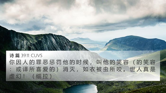 诗 篇 39:11 CUVS Bible Verse Image