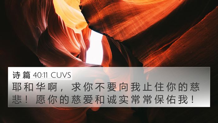 诗 篇 40:11 CUVS Bible Verse Image
