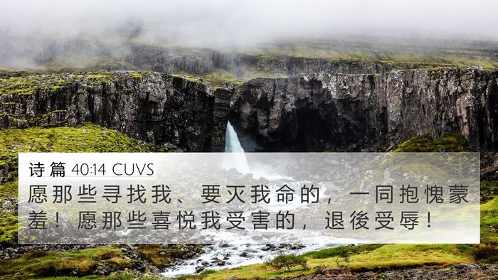 诗 篇 40:14 CUVS Bible Verse Image
