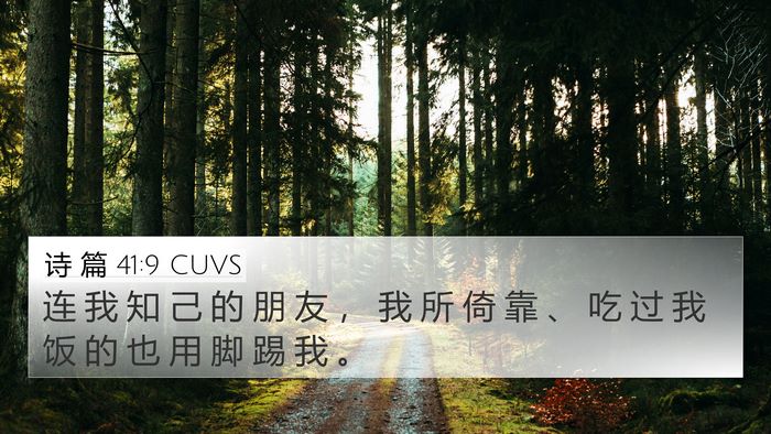 诗 篇 41:9 CUVS Bible Verse Image