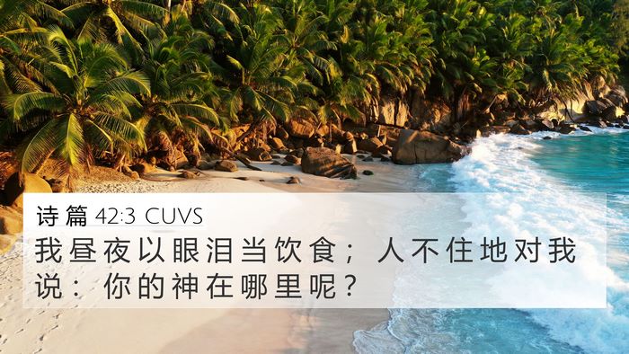 诗 篇 42:3 CUVS 4K Wallpaper - 我 昼 夜 以 眼 泪 当 饮 食 ； 人 不 - 4K Wallpaper Bible Verse