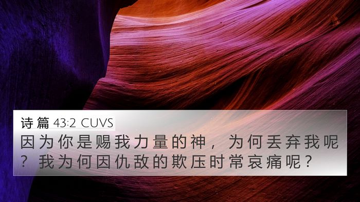 诗 篇 43:2 CUVS Bible Verse Image