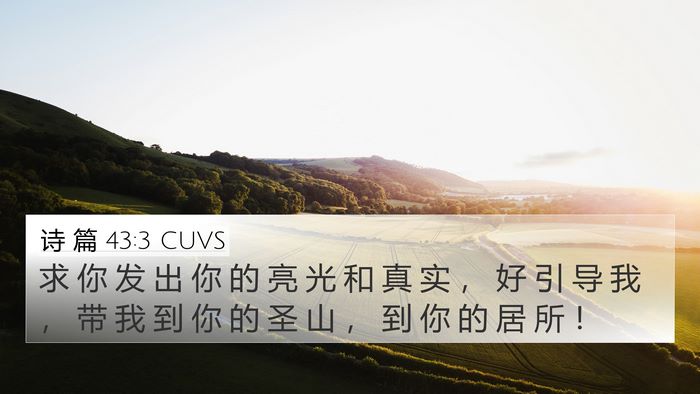 诗 篇 43:3 CUVS Bible Verse Image