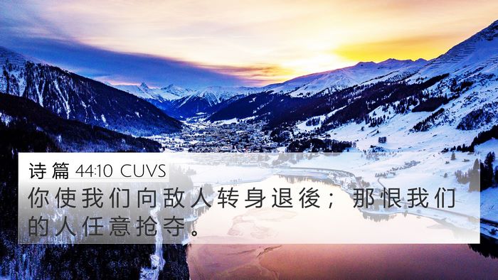 诗 篇 44:10 CUVS Bible Verse Image