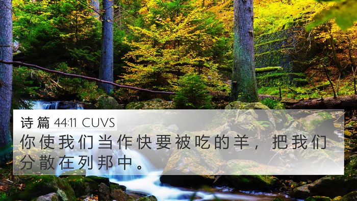 诗 篇 44:11 CUVS Bible Verse Image