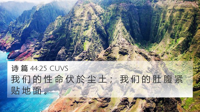 诗 篇 44:25 CUVS Bible Verse Image