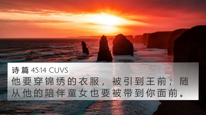 诗 篇 45:14 CUVS Bible Verse Image