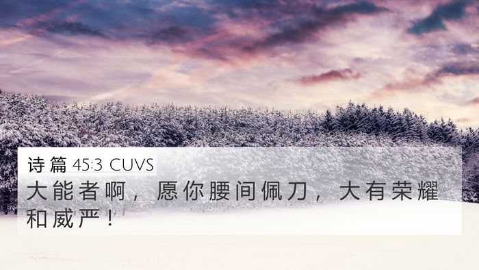 诗 篇 45:3 CUVS Bible Verse Image
