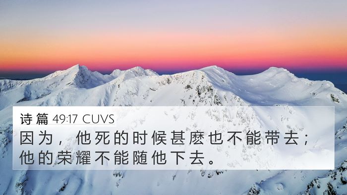 诗 篇 49:17 CUVS Bible Verse Image