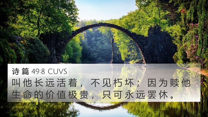 诗 篇 49:8 CUVS Bible Verse Image