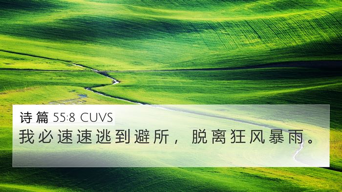 诗 篇 55:8 CUVS 4K Wallpaper - 我 必 速 速 逃 到 避 所 ， 脱 离 狂 - 4K Wallpaper Bible Verse