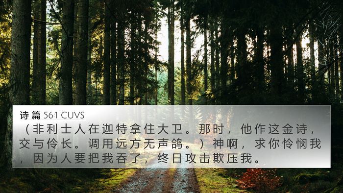 诗 篇 56:1 CUVS Bible Verse Image