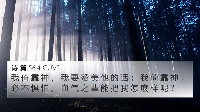 诗 篇 56:4 CUVS Bible Verse Image