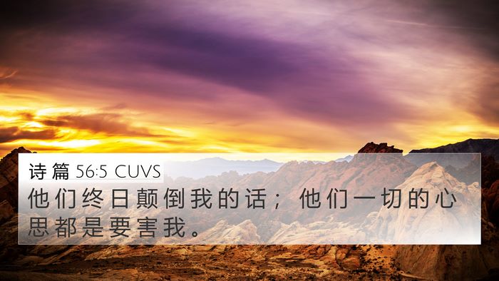 诗 篇 56:5 CUVS Bible Verse Image