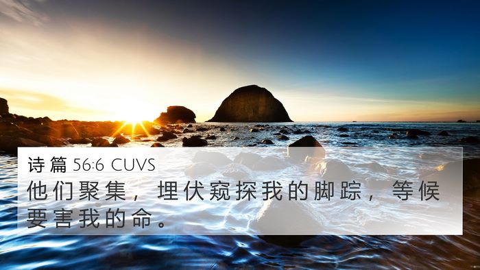 诗 篇 56:6 CUVS Bible Verse Image