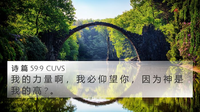 诗 篇 59:9 CUVS Bible Verse Image