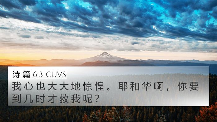 诗 篇 6:3 CUVS Bible Verse Image