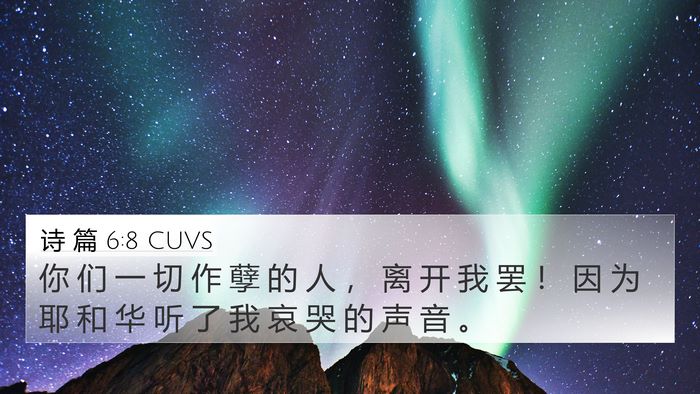 诗 篇 6:8 CUVS Bible Verse Image
