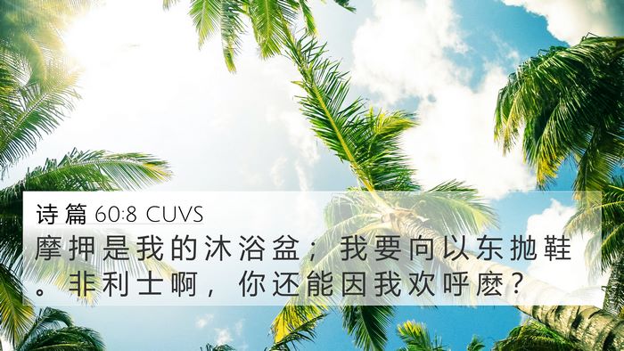 诗 篇 60:8 CUVS Bible Verse Image