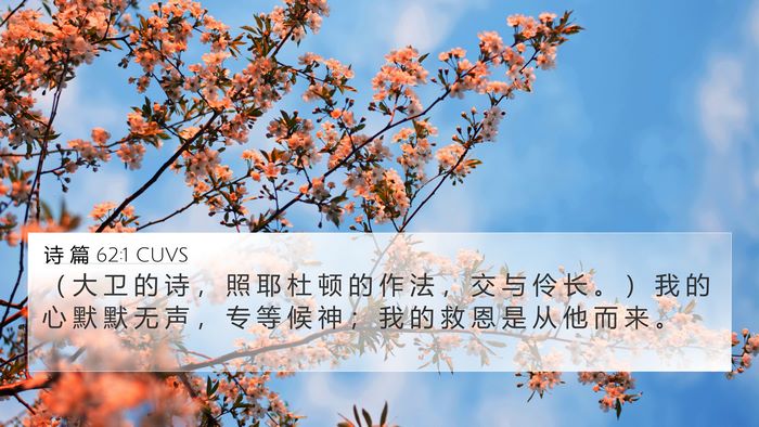 诗 篇 62:1 CUVS Bible Verse Image