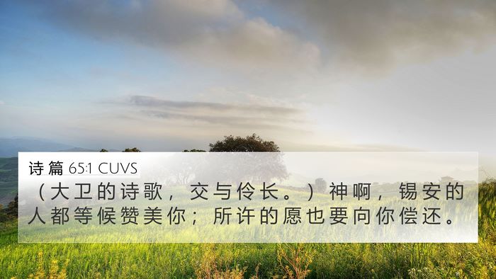 诗 篇 65:1 CUVS Bible Verse Image