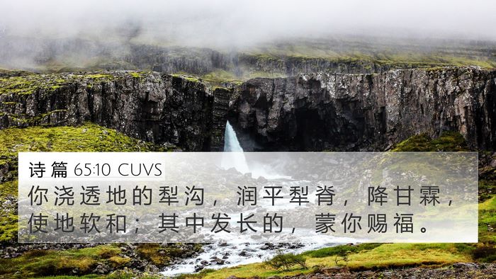 诗 篇 65:10 CUVS Bible Verse Image