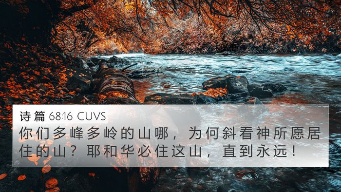 诗 篇 68:16 CUVS Bible Verse Image