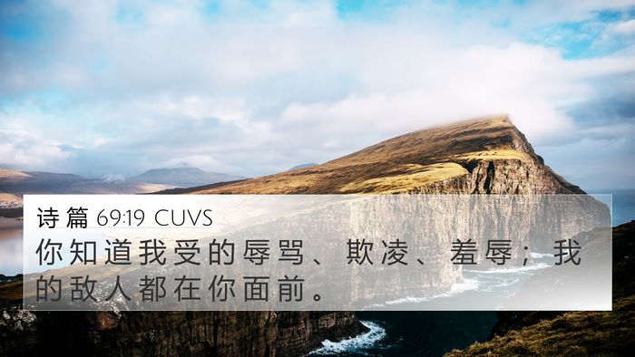 诗 篇 69:19 CUVS Bible Verse Image