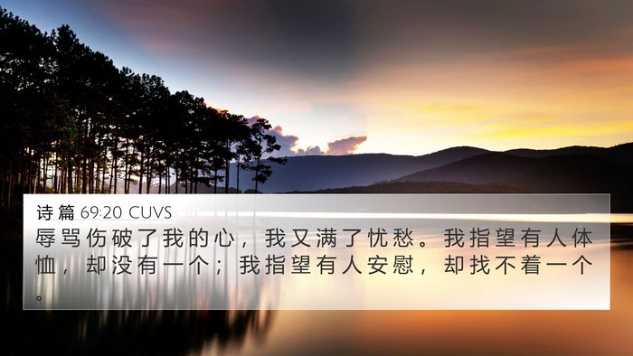 诗 篇 69:20 CUVS Bible Verse Image