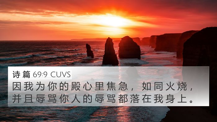 诗 篇 69:9 CUVS Bible Verse Image
