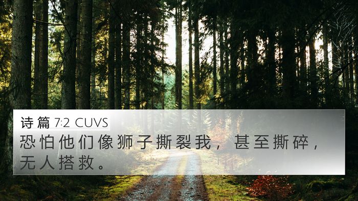 诗 篇 7:2 CUVS Bible Verse Image