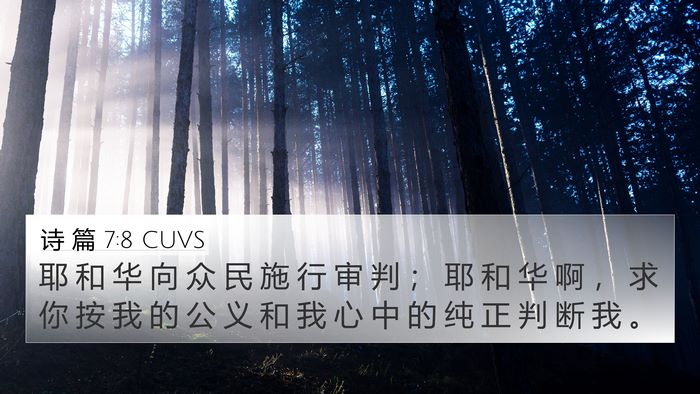 诗 篇 7:8 CUVS Bible Verse Image