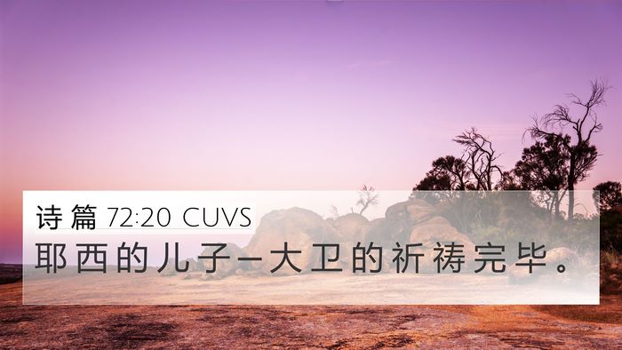 诗 篇 72:20 CUVS Bible Verse Image