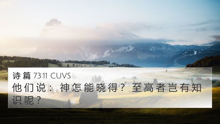 诗 篇 73:11 CUVS Bible Verse Image