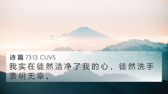 诗 篇 73:13 CUVS Bible Verse Image