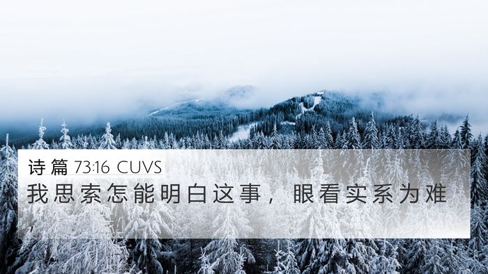 诗 篇 73:16 CUVS Bible Verse Image